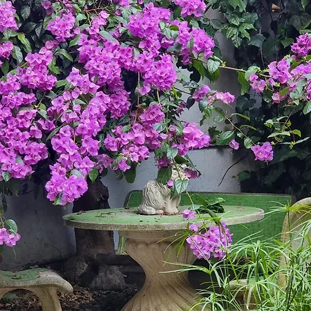 Vatican Fairytale Garden Πανσιόν *
